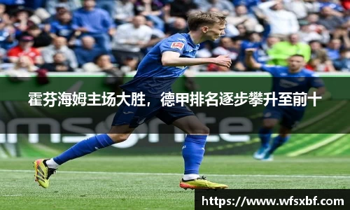 霍芬海姆主场大胜，德甲排名逐步攀升至前十