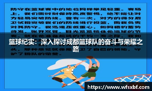 篮球纪实：深入探讨成都篮球队的奋斗与荣耀之路