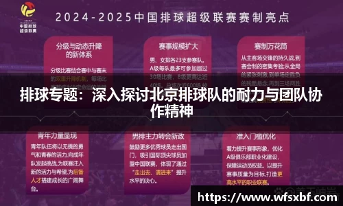 排球专题：深入探讨北京排球队的耐力与团队协作精神