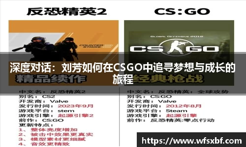 深度对话：刘芳如何在CSGO中追寻梦想与成长的旅程