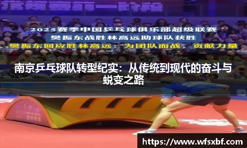 南京乒乓球队转型纪实：从传统到现代的奋斗与蜕变之路