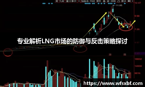 专业解析LNG市场的防御与反击策略探讨